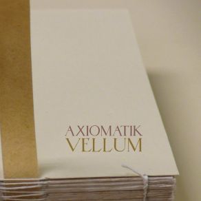 Download track Vellum Axiomatik