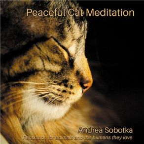 Download track Peaceful Cat Meditation Andrea Sobotka