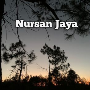 Download track My Lost Friend Nursan Jaya