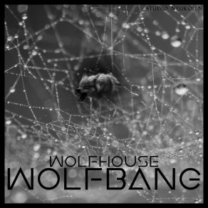 Download track Feel The Music Wolfbang