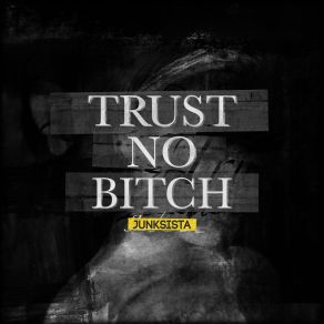 Download track Trust No Bitch (Restriction 9 Remix) Junksista