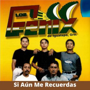 Download track Mi Violín El Fenix