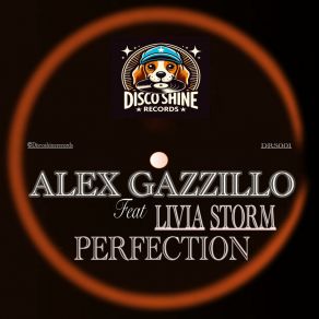 Download track Perfection (Original Mix) Alex GazzilloSilvia Salvatori