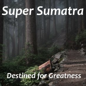 Download track Fill Me In Later Super Sumatra