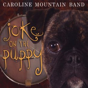 Download track Sara Armstrong Caroline Mountain Band