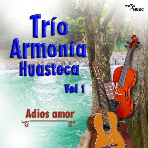 Download track Me Voy A Lavar La Boca Trio Armonia Huasteca