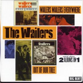 Download track Tears (Version 1) The Wailers