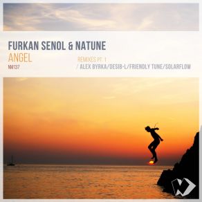 Download track Angel (Desib-L Remix) Furkan Senol