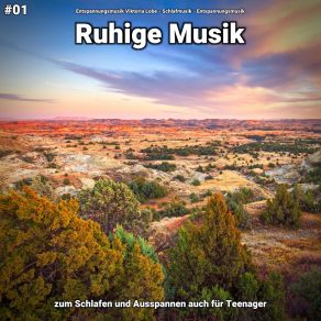 Download track Ruhige Musik Pt. 45 Entspannungsmusik