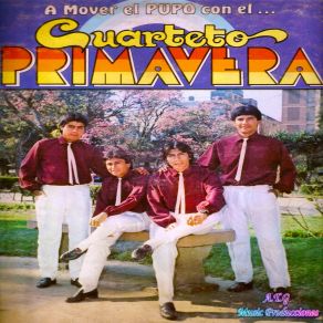 Download track La Noche Triste Del Soldado CUARTETO PRIMAVERA