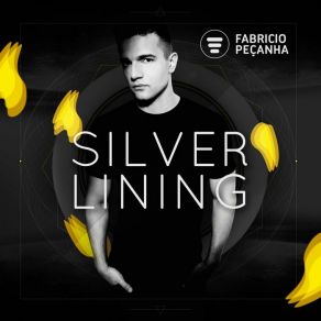 Download track Teaser (Original Mix) Fabricio Pecanha