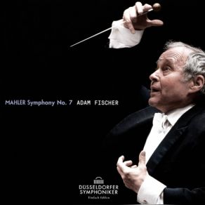 Download track Symphony No. 7 In E Minor III. Scherzo. Schattenhaft Adam Fischer, Duesseldorfer Symphoniker