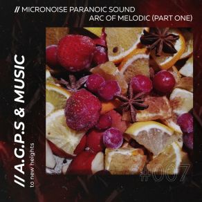 Download track Marmelad (Remastered) Micronoise Paranoic Sound