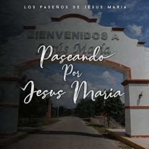 Download track Amor Sin Condición Los Pasenos De Jesus Maria