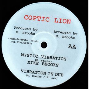 Download track Mystic Vibration Big YouthMike Brooks