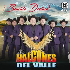 Download track El Chapulin Los Halcones Del Valle