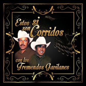 Download track Los Pateros Los Tremendos Gavilanes