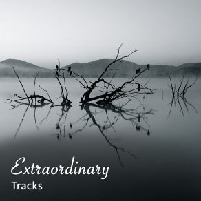 Download track Meditative Rainfall Meditacou Musica Ambiente