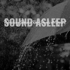 Download track Refreshing Summer Rain Sounds At Night, Pt. 18 Elijah Wagner