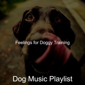 Download track Background For Reducing Dog Stress Dog Music Playlist