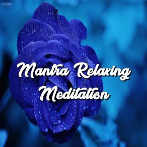 Download track Relaxing Mantra, Pt. 10 Mantra Para Meditar