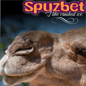 Download track Crushed Ice Spuzbet