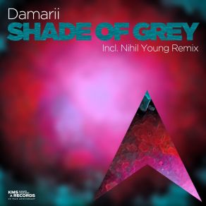 Download track Shade Of Grey (Nihil Young Remix) Damarii