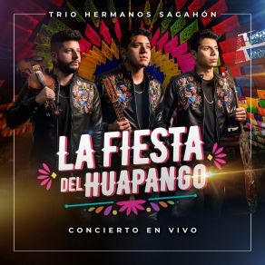 Download track El Alegre Trio Hermanos Sagahón