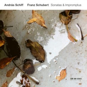 Download track Four Impromptus, D. 899: No. 4 In A-Flat Major. Allegretto Schubert, Andr'as Schiff