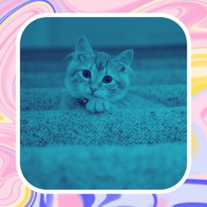 Download track Divine Cute Kitten Calming Cat Music