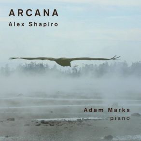 Download track Arcana: VII. Search Adam Marks