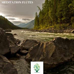 Download track Meditative Flutes Theme Fx Sound