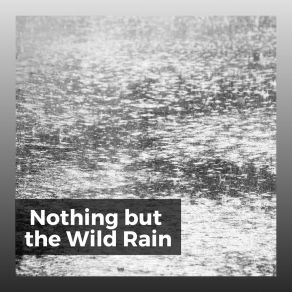 Download track Digital Rain, Pt. 2 Sound Of Rain