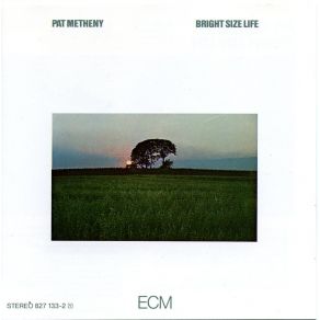 Download track Round Trip / Broadway Blues Pat Metheny