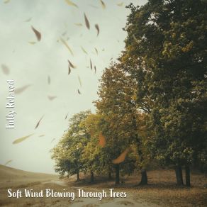 Download track Soft Wind Blowing Through Trees, Pt. 12 Steve Brassel