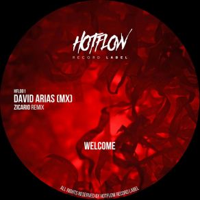 Download track Welcome (Zicario Remix) David Arias (MX)Zicario