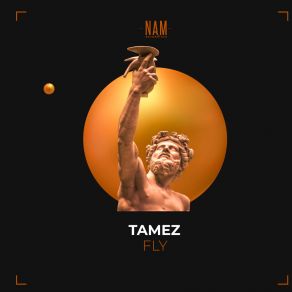 Download track Fly (Radio Edit) Tamez