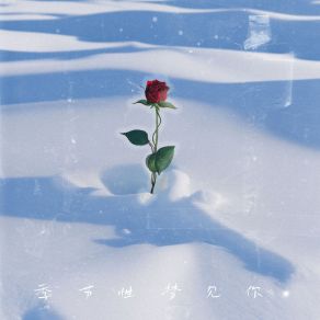 Download track 季节性梦见你 (伴奏) 邹沛沛