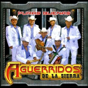 Download track El Preso De Nuevo Leon Aguerridos De La Sierra