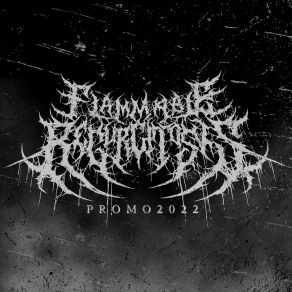 Download track Grotesque Collections Of Dismembered Mortals Flammable Regurgitosis