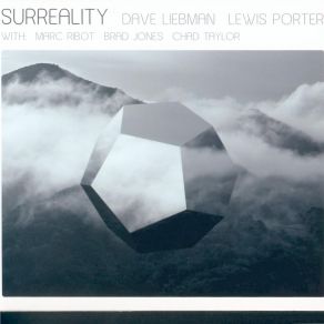 Download track Surreality David Liebman, Lewis Porter