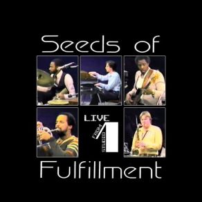 Download track The Provider (Live) Seeds Of Fulfillment