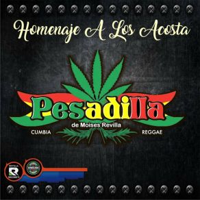 Download track Mi Corazon Es Un Vagabundo Grupo Pesadilla De Moises Revilla