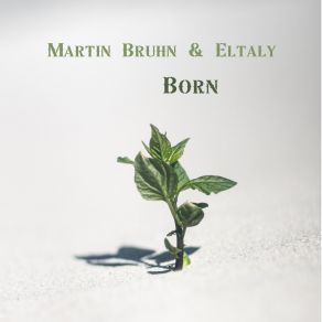 Download track Born Eltaly