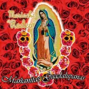 Download track Morenita Del Tepeyac Mariachi Rodeo