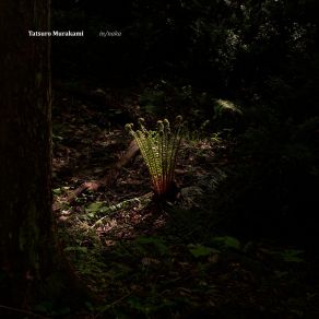 Download track Paddy Field School Tatsuro Murakami