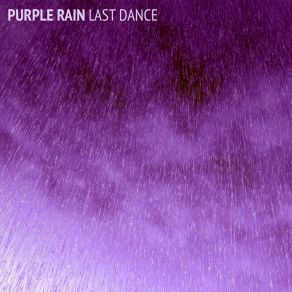 Download track Last Dance (Original Mix) Purple Rain