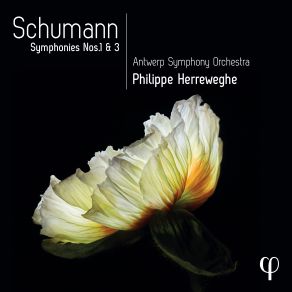 Download track Schumann Symphony No. 1 In B-Flat Major, Op. 38 Spring I. Andante Un Poco Maestoso - Allegro Molto Vivace Philippe Herreweghe, Antwerp Symphony Orchestra