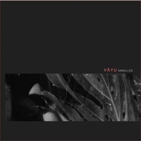 Download track Apana (Original Mix) Vayu