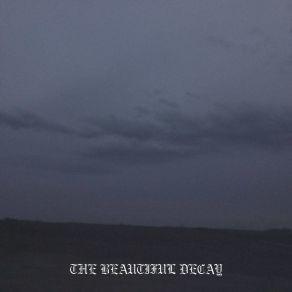 Download track THE BEAUTIFUL DECAY KOLT45